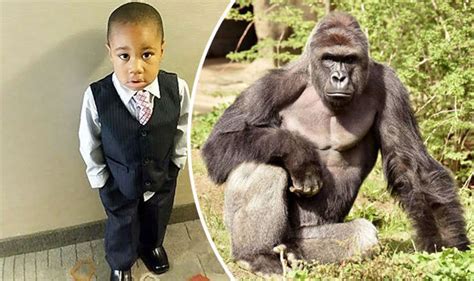 how old is the harambe kid now